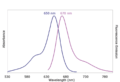 Absorbance and Fluorescence Emission